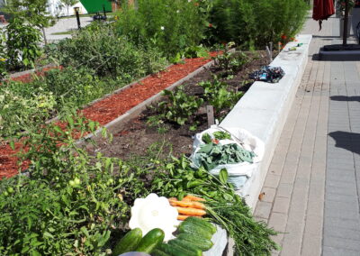 Mechanicsville Community Garden