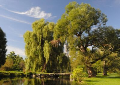 The Dominion Arboretum at the Central Experimental Farm