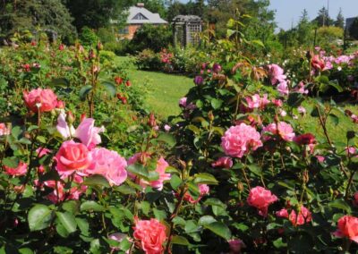 Ornamental Gardens of the Central Experimental Farm
