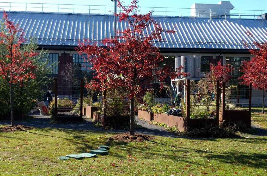 Civic Gardens at Lansdowne Park