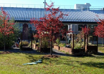 Civic Gardens at Lansdowne Park