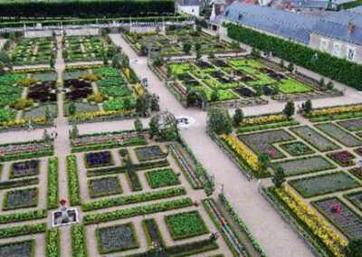 Jo-Jo’s Community Garden