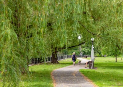 Patterson Creek Park